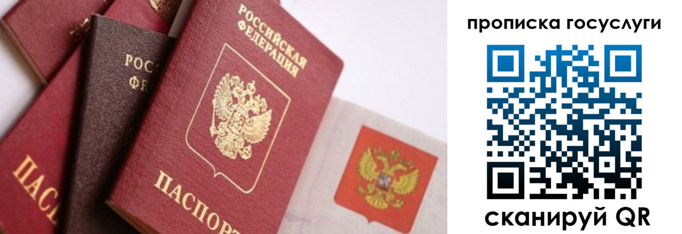 прописка законно в Волгореченске